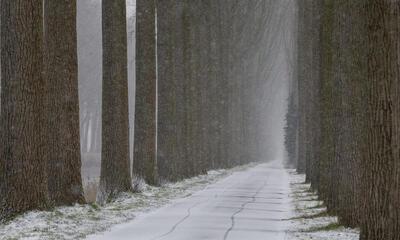 Schipdonkkanaal Damme